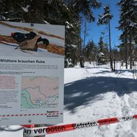 Schneeschuhtrail-Panoramawegtrail