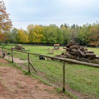 Wild- und Wanderpark Weiskirchen