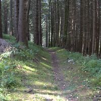 am Aufstiegssteig