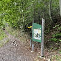 Vom Blunzenwirt ca 20 Minuten zum Bahnhof Breitenstein, hier einige Serpentinen rauf