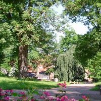 Alter Friedhof Eisenach