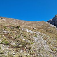 Der restliche Hang nach oben , wo der Querpfad von der Schwarzhanskarspitze daherkommt.