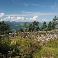 Ruine Neutoggenburg
