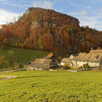 Herbst im Jura