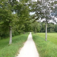 Riedingen Donauradweg
