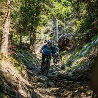 PROlitzen Trail T34