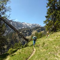 Weg zum Kuchelbergkopf