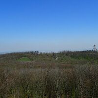 Wilhelmswarte am Anninger