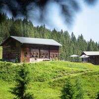 Ronggalpe