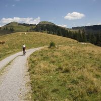 Über die Almen