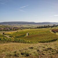 Aussicht über Oberhallau