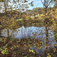 Stausee an der Feistritz, Joglland-Waldheimat in der Oststeiermark