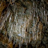 Tropfsteine in der Lurgrotte Peggau