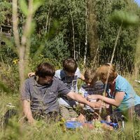 Picknick in der Dahlener Heide