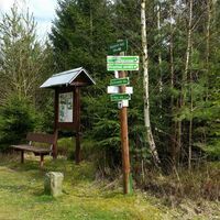 Abzweig Jesuborner Wald