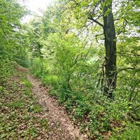NaturaTrail Auenwald an der Jagst