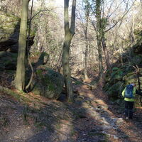 Abstieg am Vogelbergsteig