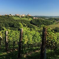 Die Weingärten bei Klöch