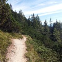 Höhenweg in Richtung Stegmoosalm