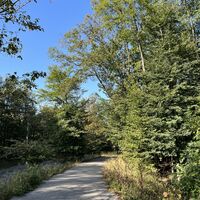 Nach Erreichen der Höhenstraße entweder auf Asphalt grad weiter oder hier rechts auf Waldpfad