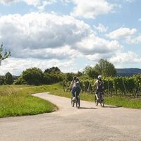 Radtour nähe Bad Dürkheim