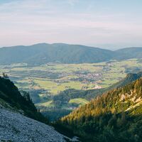 Streicher_voll-8915.jpg