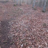 Hier beginnt der Abstiegsweg
