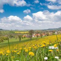 Blick auf Bliesdalheim