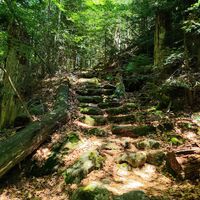 Steintreppe zur Kleinen Kanzel / Steinberg