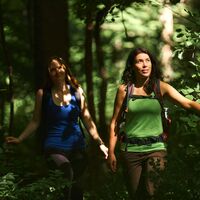 Taubertal_Wald