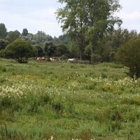 Wanderung Wolfspassage