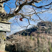 L1 Hochbuchberg Trail
