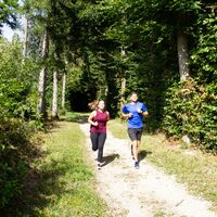 jogging_wald_paar