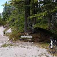 12.8 km Rast