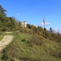 Wanderer auf dem Weg zum Berggasthaus Hörselberghaus bei Eisenach