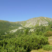 Blick zum Großen Ringkogel