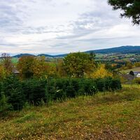 Blick nach Süden auf Münichreith