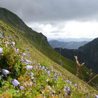 Licht und Schatten - im Schatten bereits der Kühofenspitz