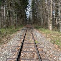 Auen-Trail - Steyr Unterhimmler Au