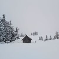 Verschneite Landschaft auf der Sommeralm_Naturpark Almenland_Oststeiermark