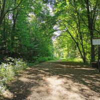 Sauerland-Waldroute an den Almequellen