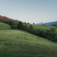 68 - ritzmannsdorf-tachenberg-weg-25 © Christoph Lukas (2025-06).jpg