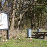 Infostele Flora und Fauna auf dem Geopfad Salzgitter-Lichtenberg