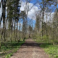 Auen-Trail - Steyr Unterhimmler Au