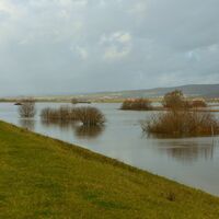 1Leinepolder Aufstau