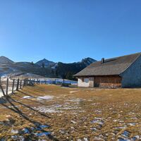 Feichtensteinalm