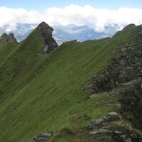 Filzenschneide