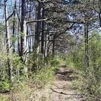Kammweg in den Hörselbergen
