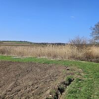 Warte Teichwiesenbach