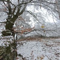 einer der vielen Pemexelgipfel